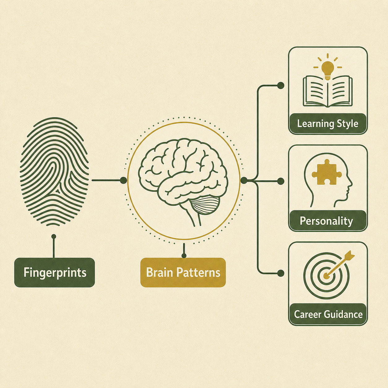 How fingerprint patterns map to brain regions and intelligence types